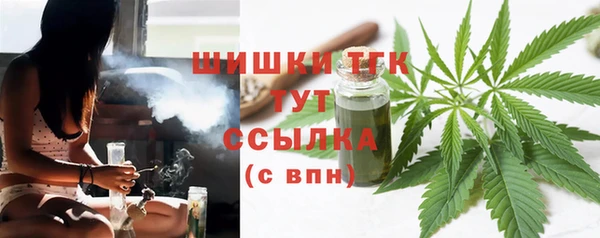 сатива Армянск