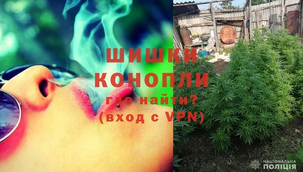 ПСИЛОЦИБИНОВЫЕ ГРИБЫ Алексеевка