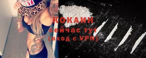 сатива Армянск