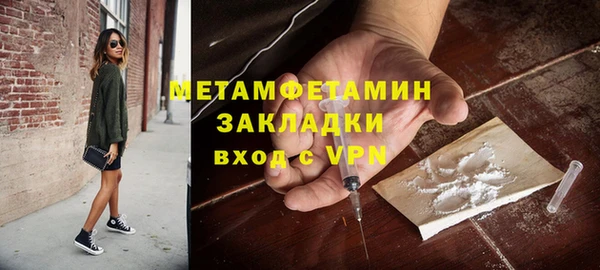 индика Арсеньев