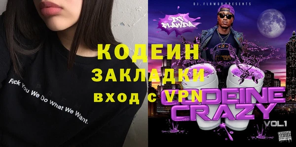 индика Арсеньев