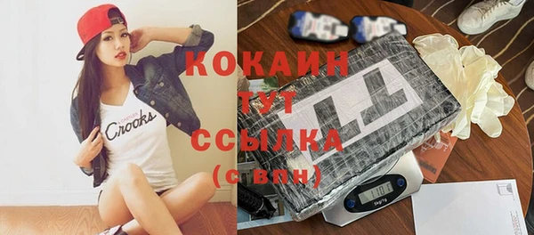 индика Арсеньев