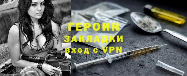 индика Арсеньев