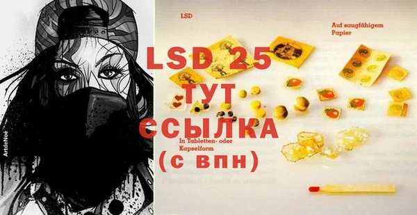 индика Арсеньев