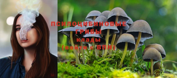 индика Арсеньев