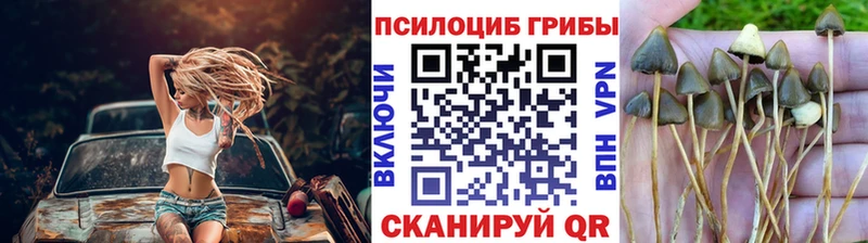 Псилоцибиновые грибы GOLDEN TEACHER  Купить закладки  Ступино 